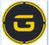 GoldPesa Option
