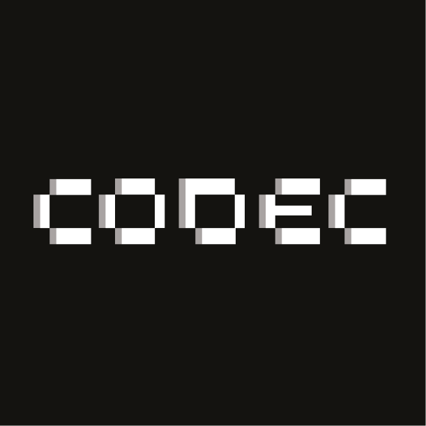 Codec Flow